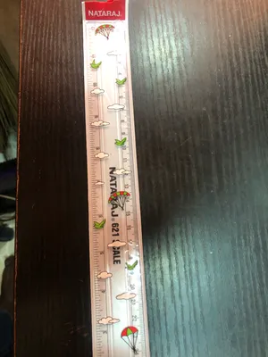 Nataraj 30cm Rulers